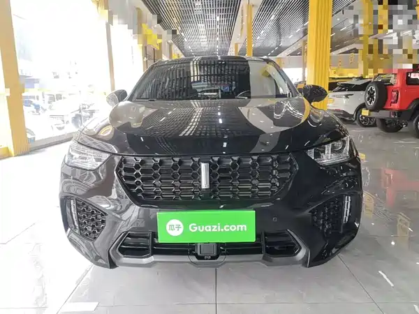 Wey VV5 2019