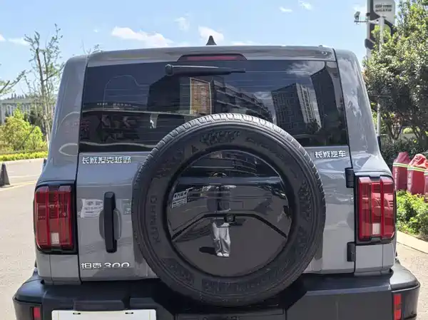 Tank 300 2024