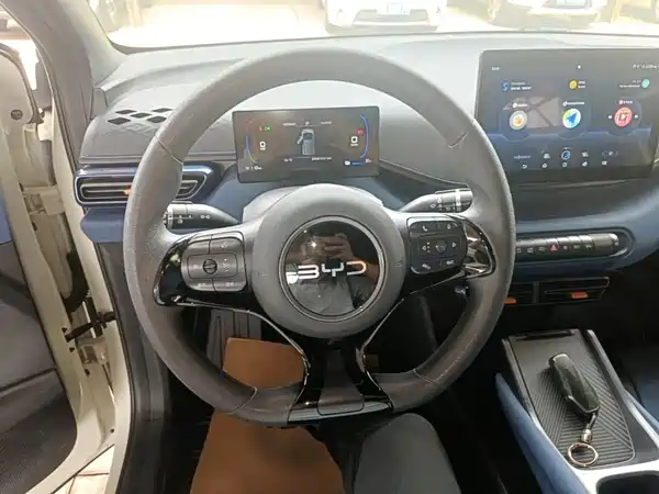 BYD Seagull 2024