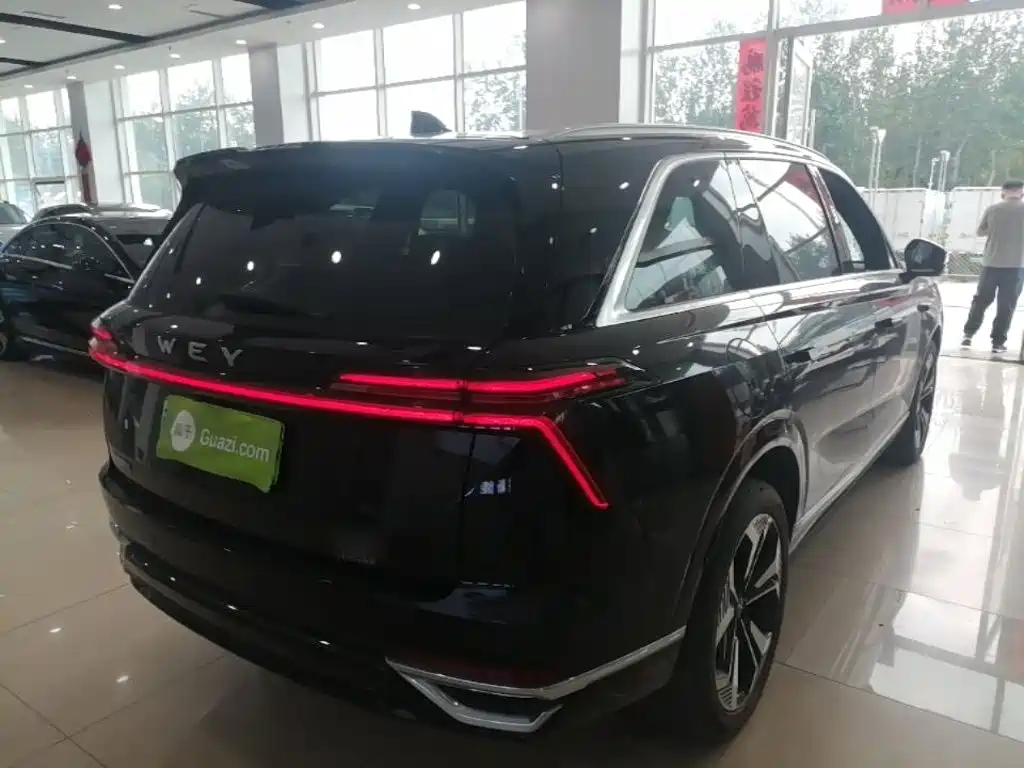Wey Lanshan 2024