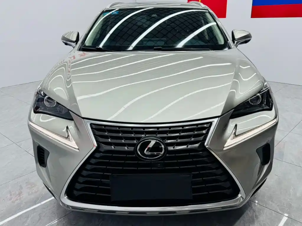 Lexus NX 2020 — фото 2