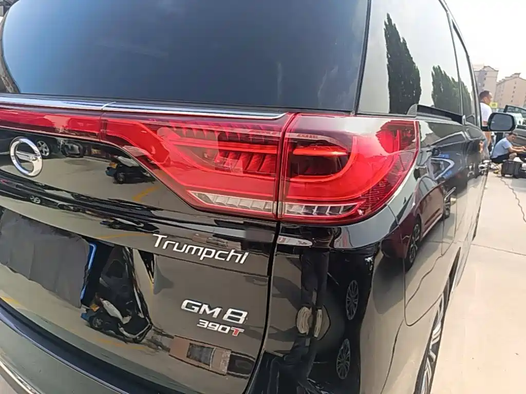GAC Trumpchi M8 2020 — фото 8