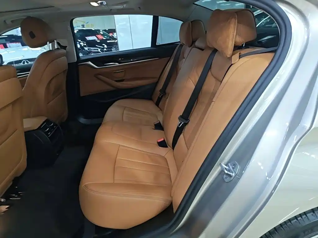 BMW 5 Series 2017 — фото 17