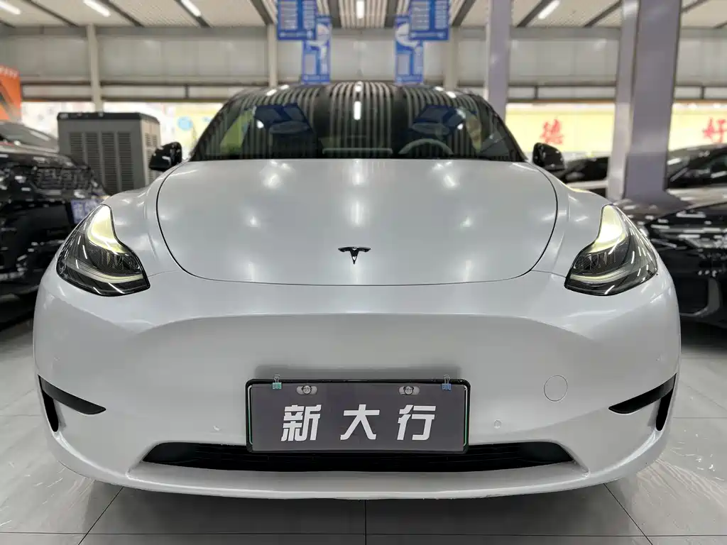 Tesla Model Y 2023 — фото 2