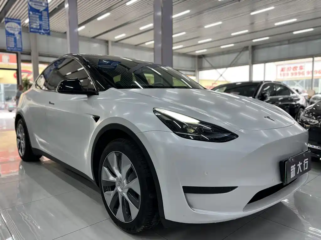 Tesla Model Y 2023 — фото 3