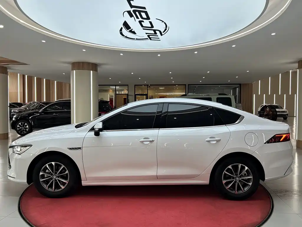 BYD Qin PLUS 2025 — фото 8