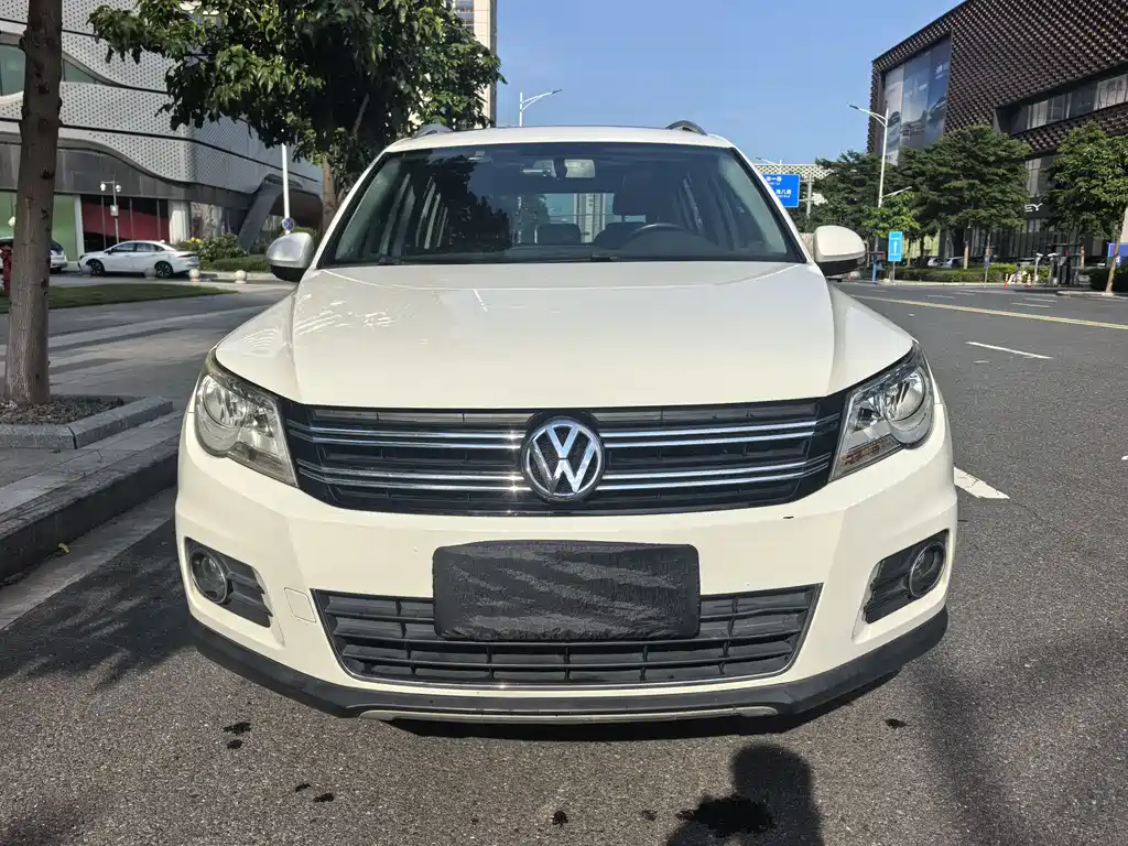 Volkswagen Tiguan 2010