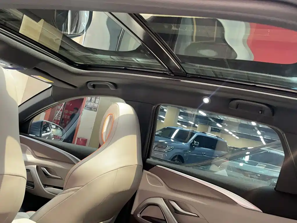 BYD Song Pro New Energy 2024 — фото 22