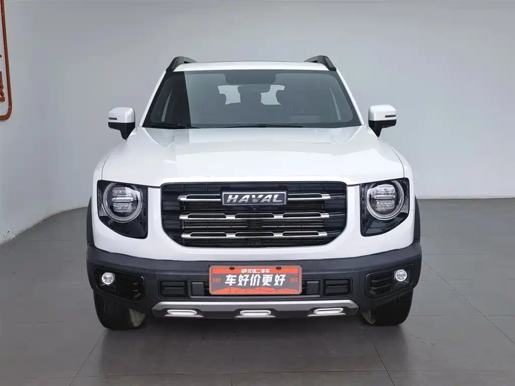 Haval Big Dog 2021 — фото 3