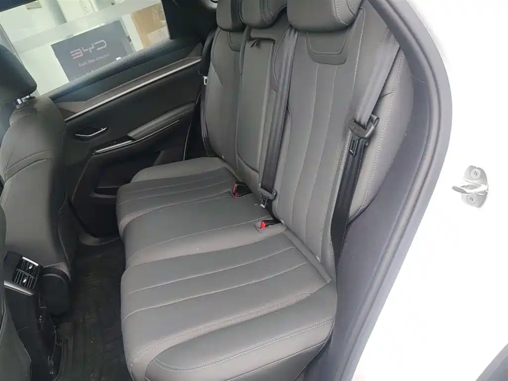 BYD Pro New Energy 2025 — фото 17