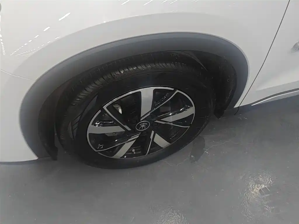 BYD Pro New Energy 2025 — фото 25