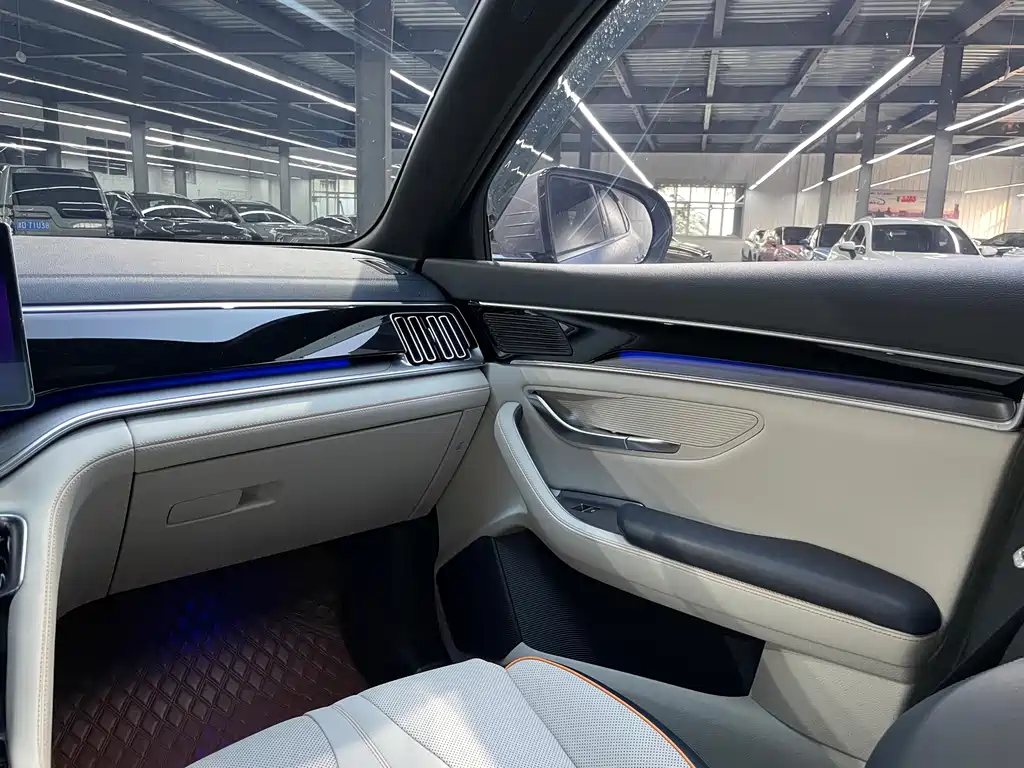 BYD Song PLUS New Energy 2023 — фото 9