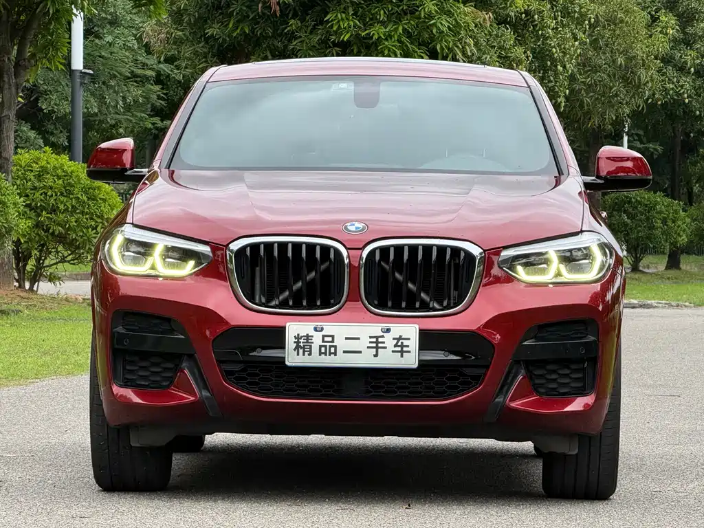 BMW X4 2020 — фото 2