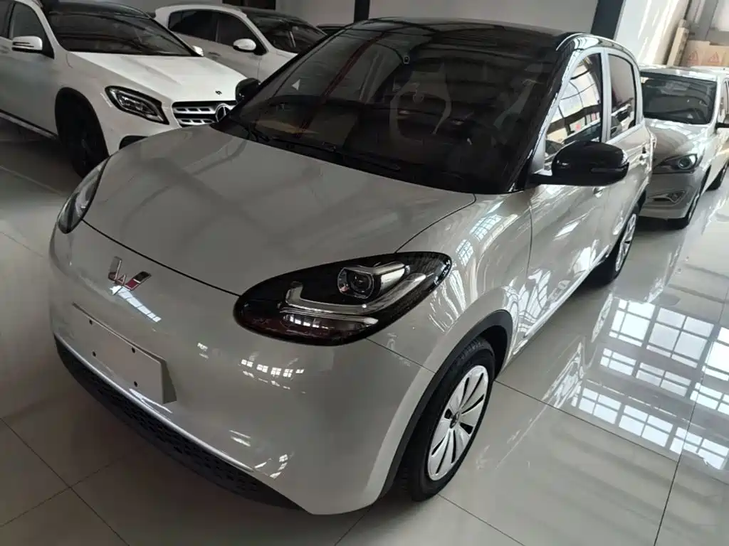 Wuling Bingo 2024