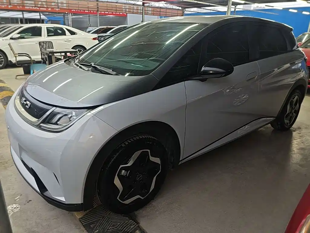 BYD Dolphin 2022