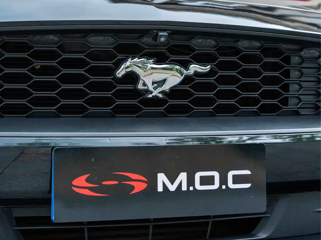 Ford Mustang 2018 — фото 11