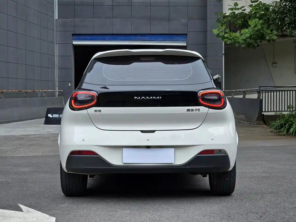 Dongfeng Nano 01 2024