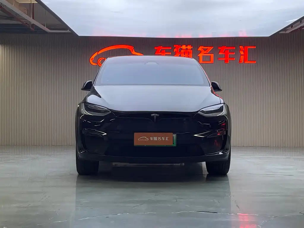 Tesla Model X 2023 — фото 2
