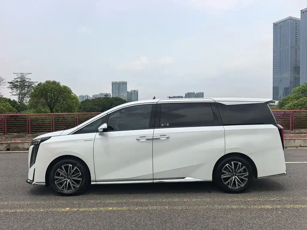 GAC Trumpchi M8 2024 — фото 22