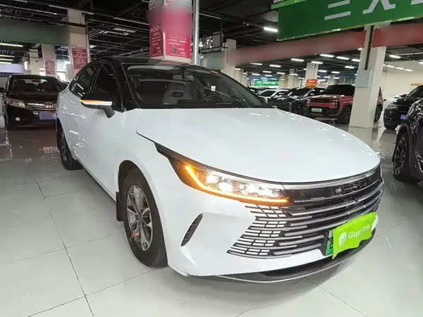 BYD Destroyer 05 2024