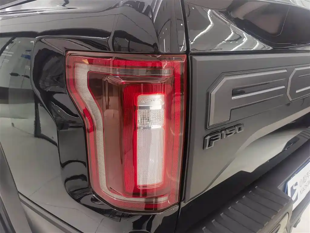 Ford F-150 Raptor 2020 — фото 21