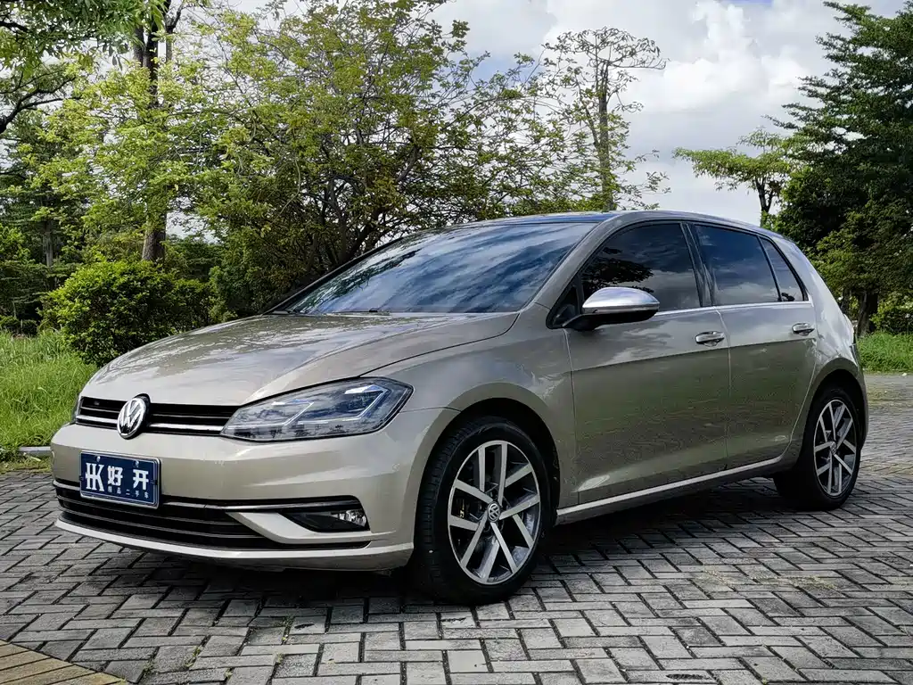 Volkswagen Golf 2019 — фото 1