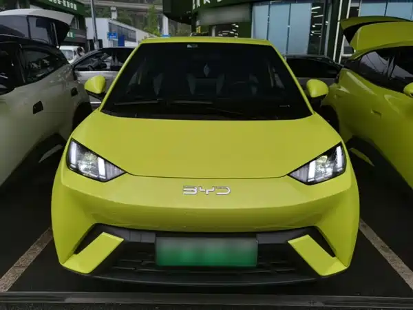 BYD Seagull 2024