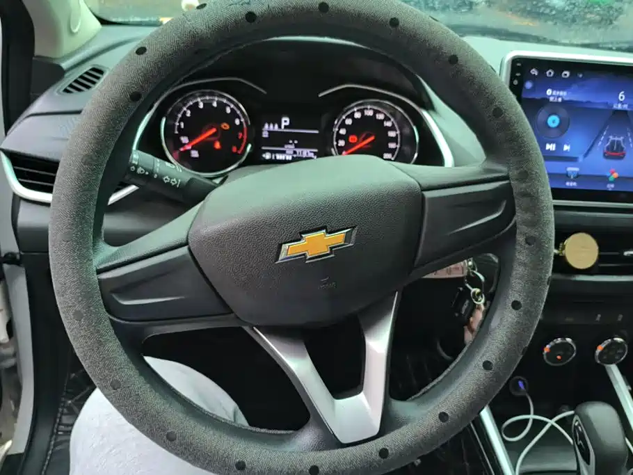Chevrolet Cavalier 2021 — фото 15
