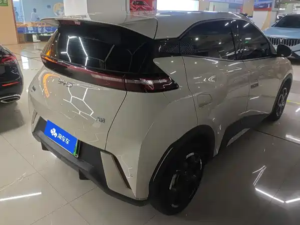BYD Seagull 2024