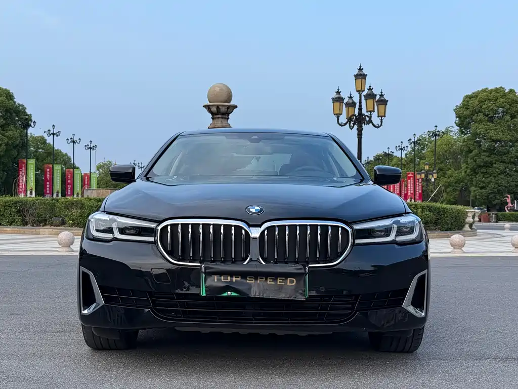 BMW 5 Series New Energy 2020 — фото 2