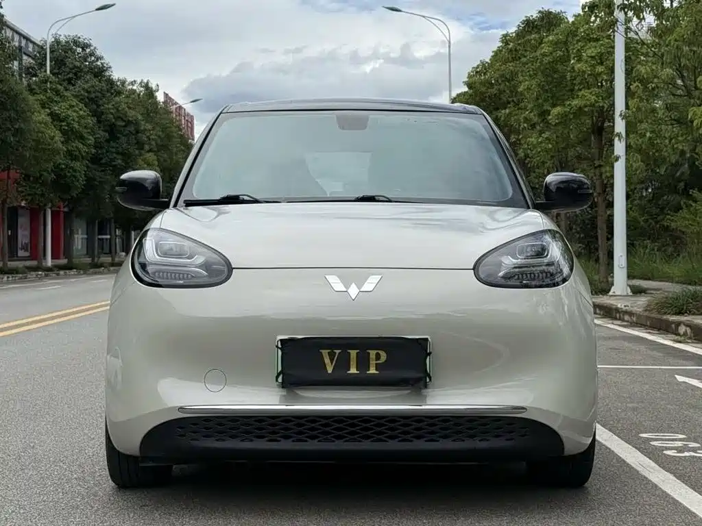 Wuling Bingo 2024