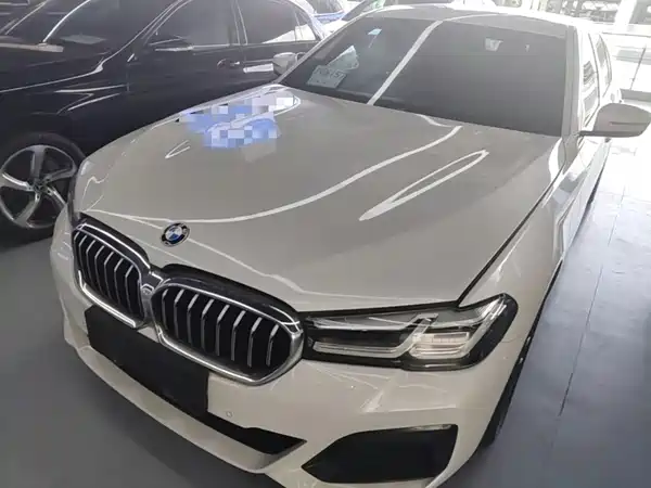 BMW 5 Series New Energy 2021