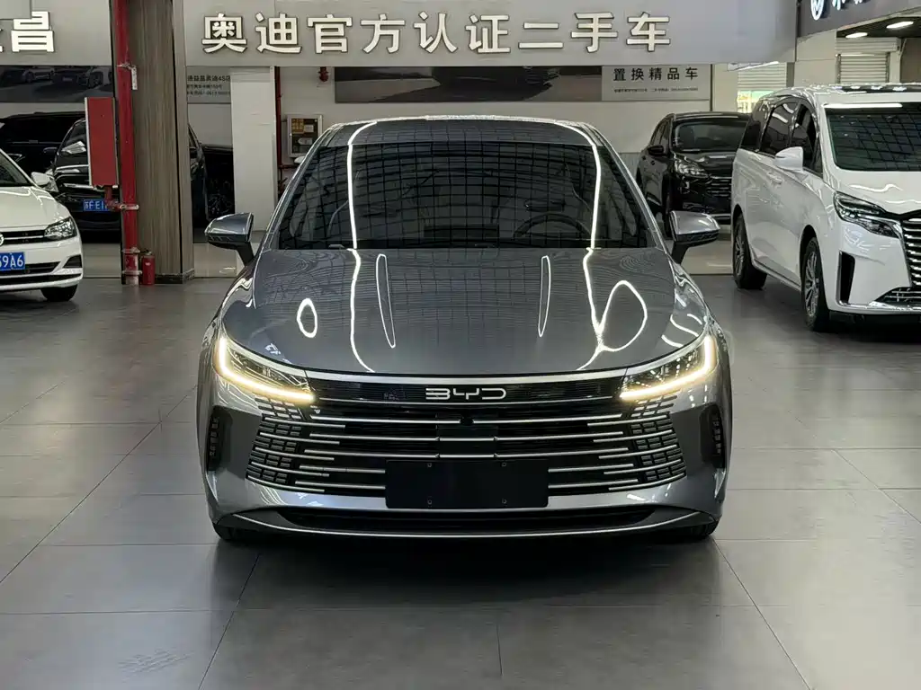 BYD Destroyer 05 2024 — фото 3