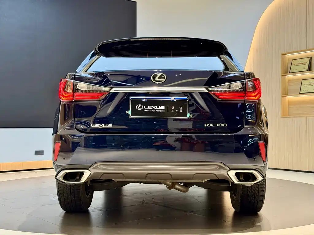 Lexus RX 2018 — фото 18