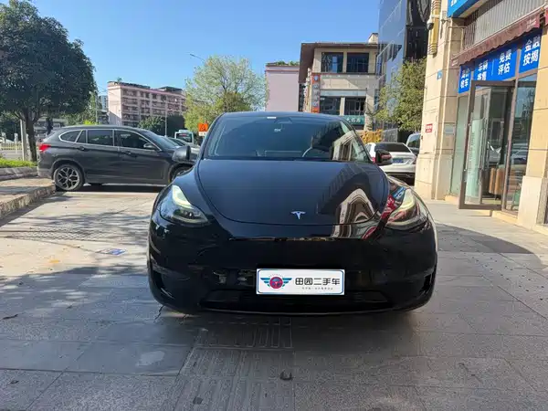 Tesla Model Y 2021