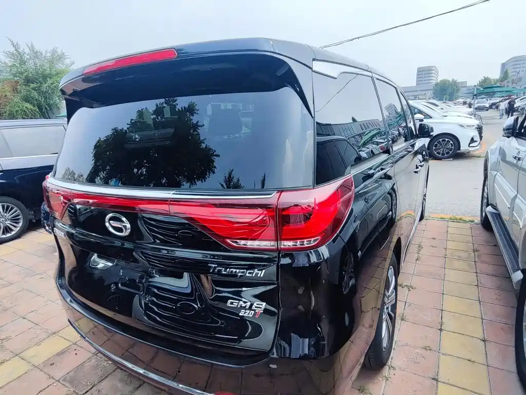 GAC Trumpchi M8 2019 — фото 16