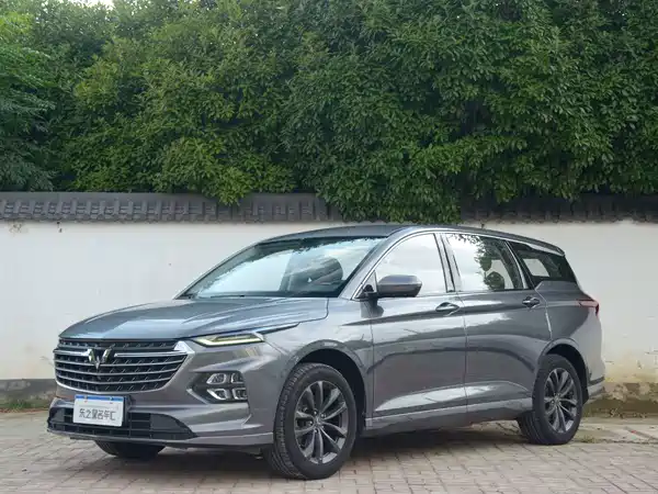 Wuling Victory 2021