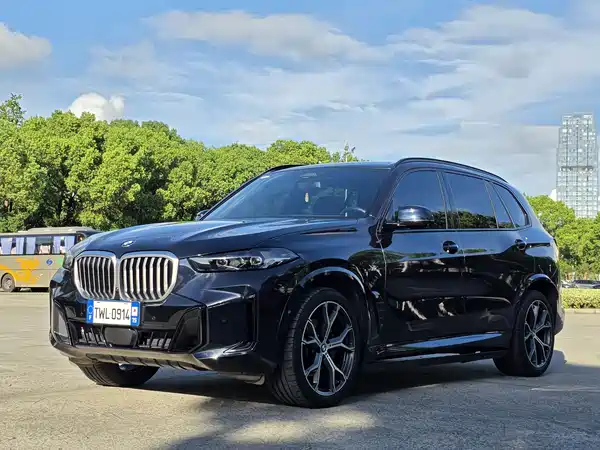 BMW X5 2024