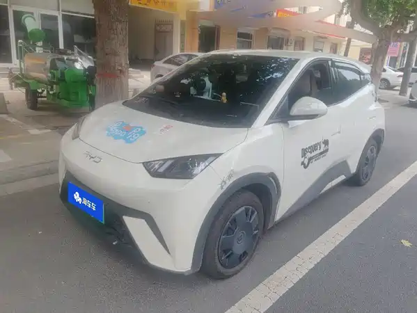 BYD Seagull 2024