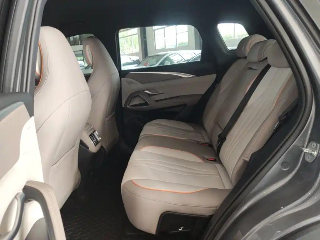 BYD Song Pro New Energy 2025 — фото 17