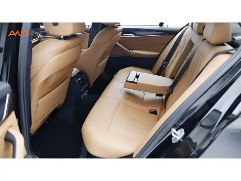 BMW 5 Series 2022