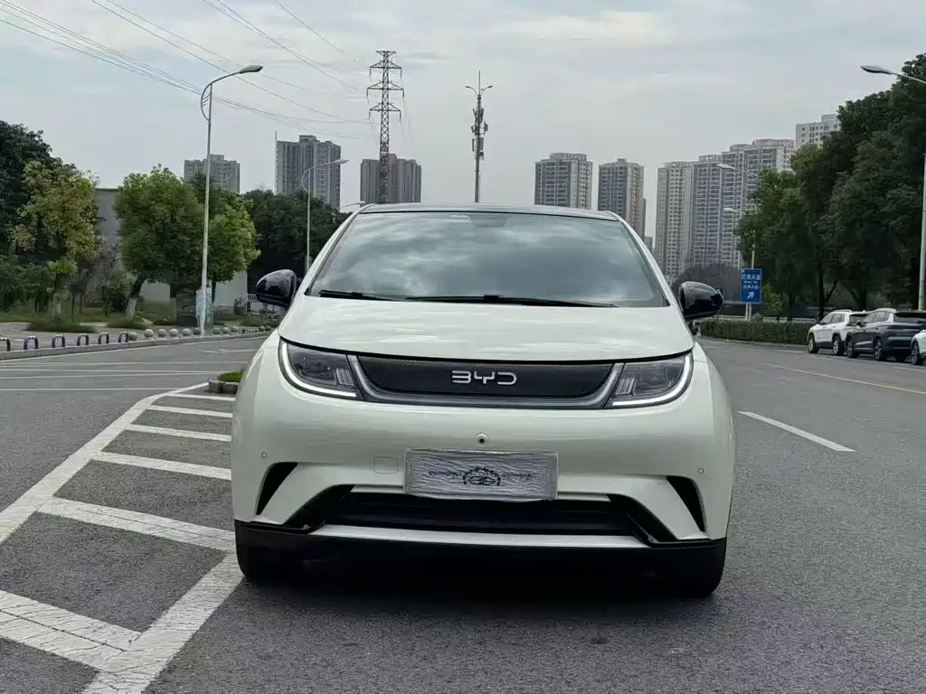 BYD Dolphin 2024