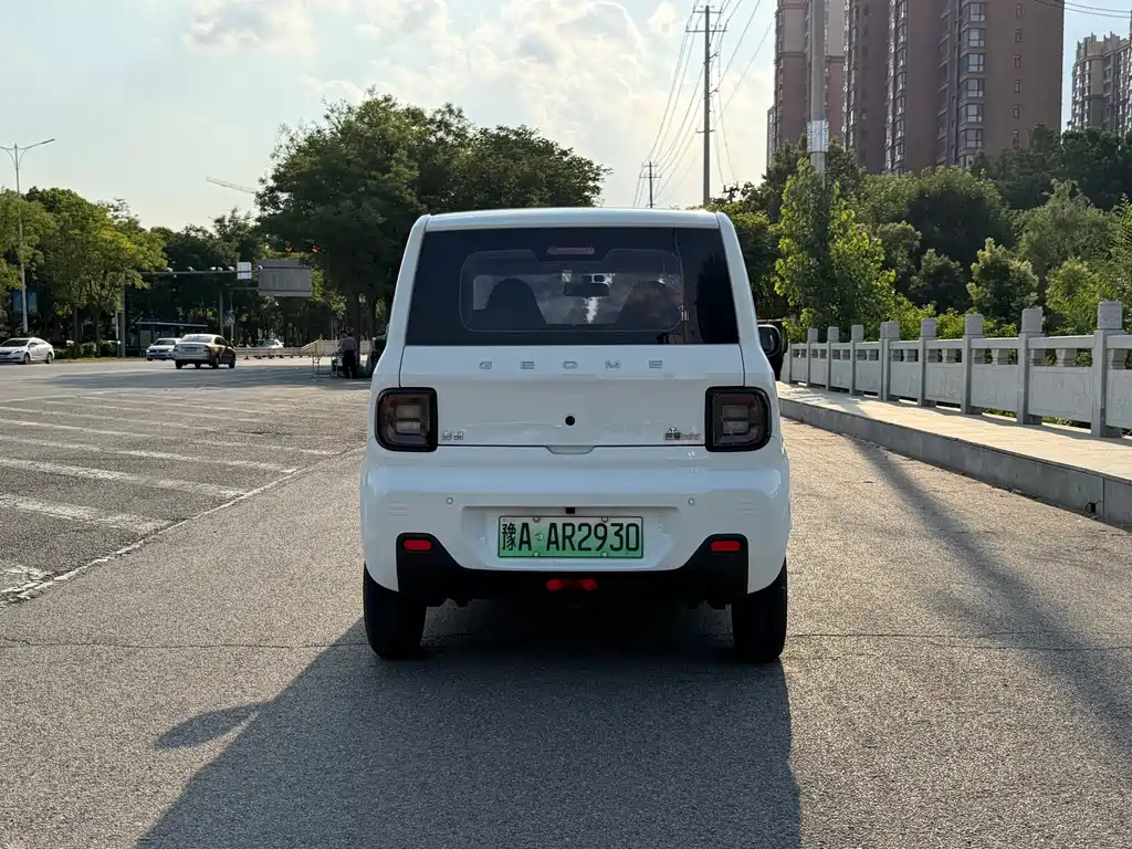 Galaxy Panda 2024