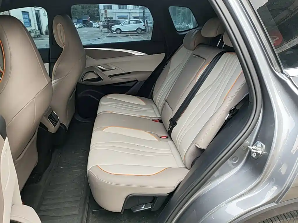 BYD Song Pro New Energy 2024 — фото 17
