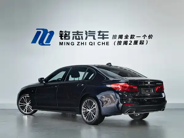 BMW 5 Series 2019
