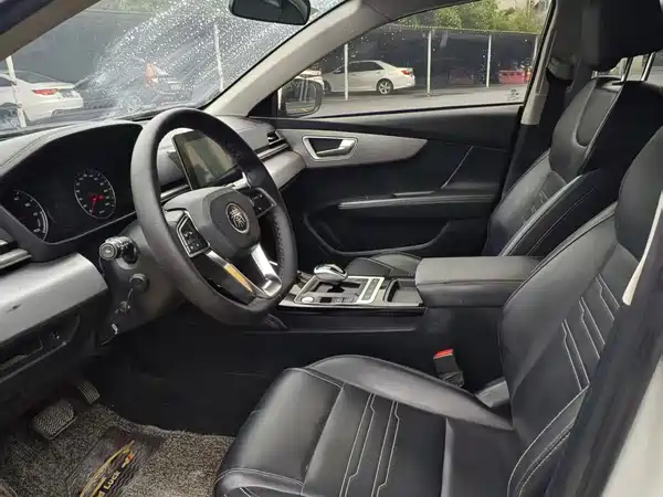 BYD Qin New Energy 2020