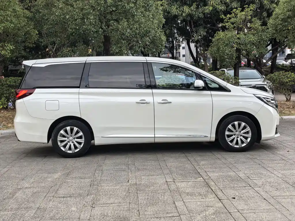 GAC Motor Trumpchi M8 2020 — фото 8