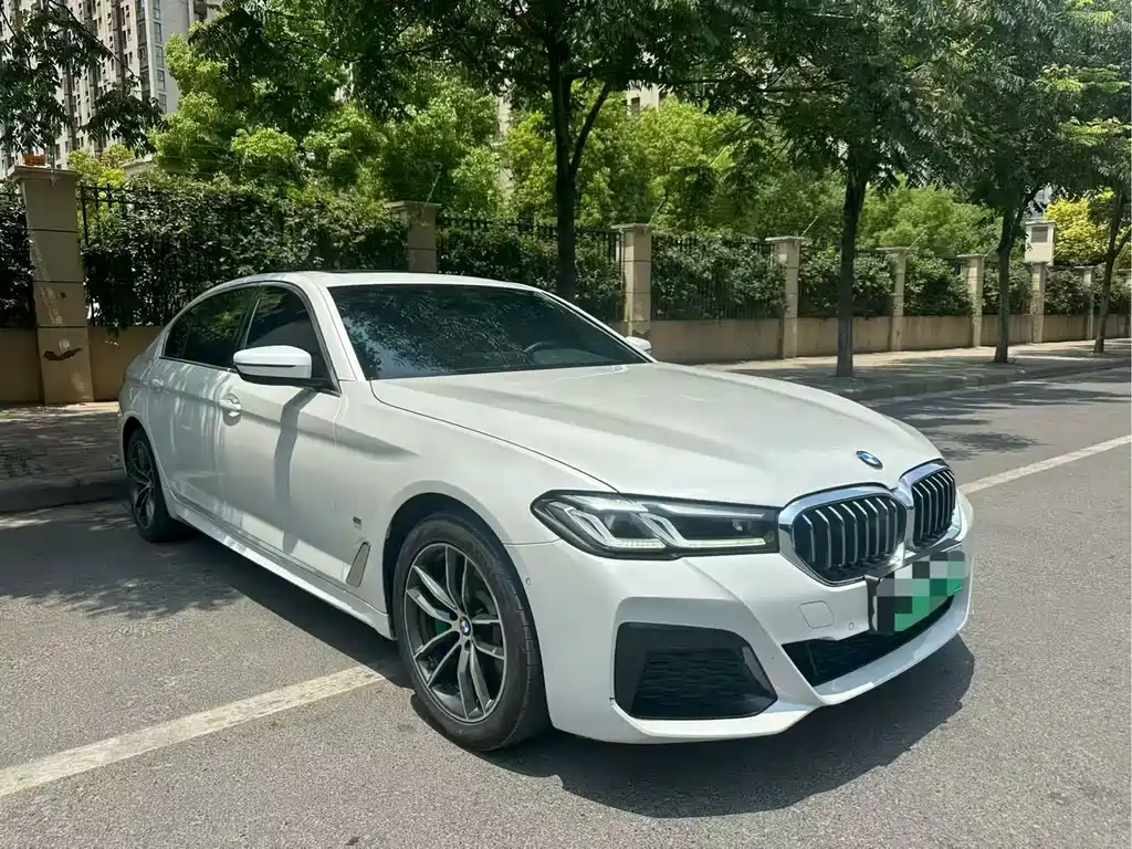 BMW 5 Series New Energy 2020