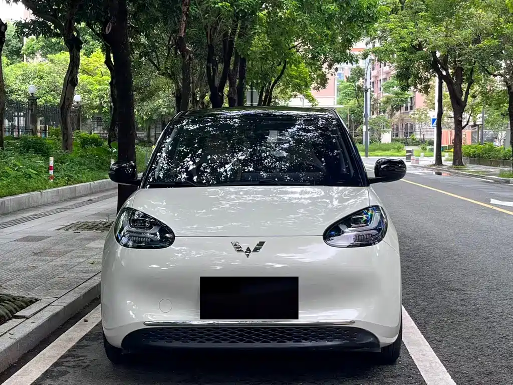 Wuling Bingo 2024