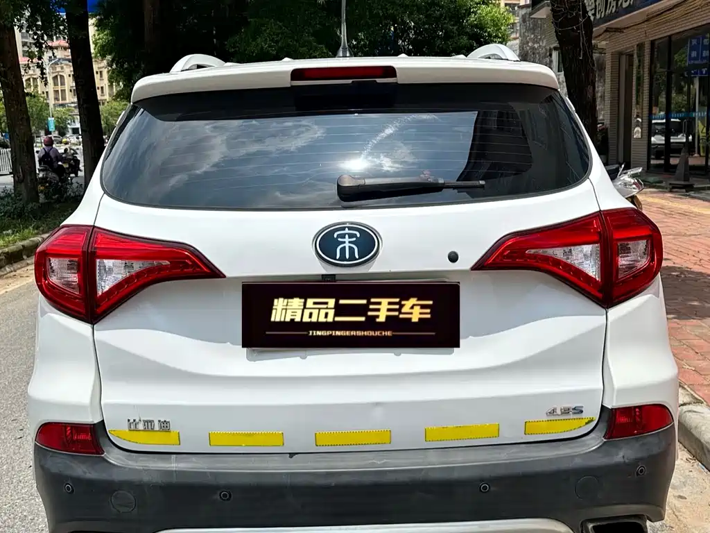 BYD New Energy 2018